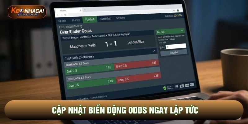 Cập nhật biến động Odds ngay lập tức