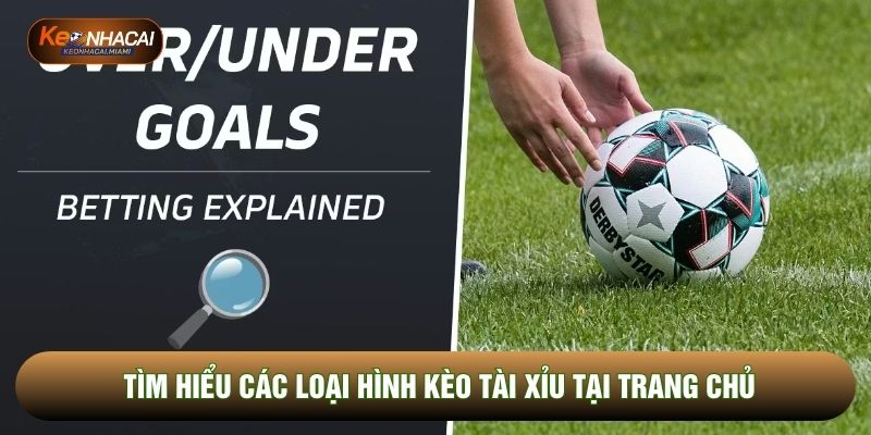 Tìm hiểu các loại hình kèo tài xỉu tại trang chủ