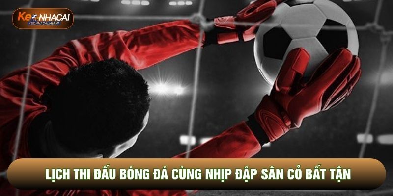 Lịch thi đấu bóng đá cùng nhịp đập sân cỏ bất tận