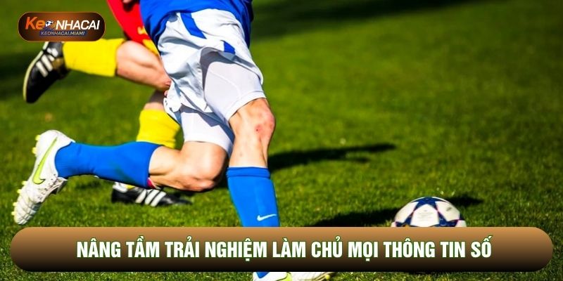 Nâng tầm trải nghiệm làm chủ mọi thông tin số