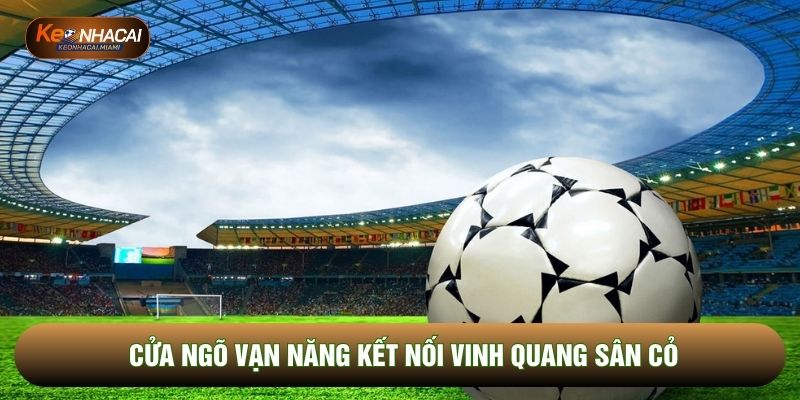 Cửa ngõ vạn năng kết nối vinh quang sân cỏ