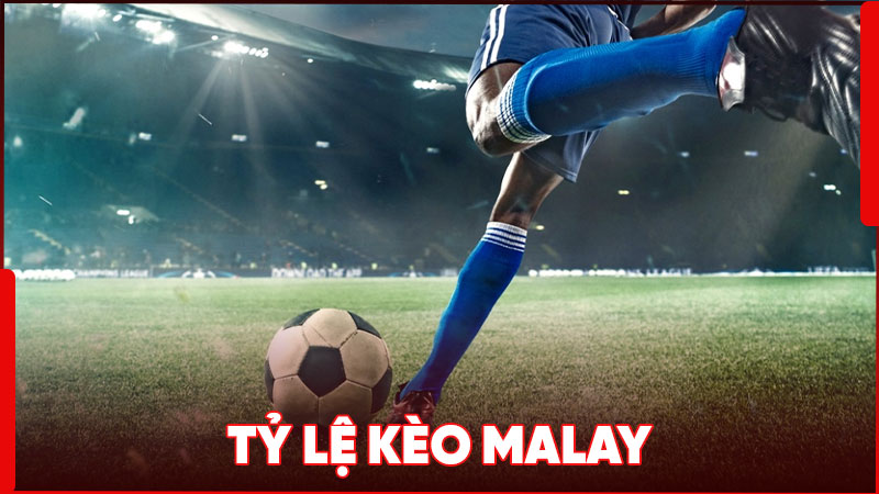Tỷ lệ kèo Malay là định dạng phổ biến tại khu vực Đông Nam Á